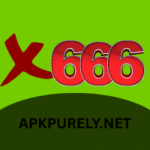 x666